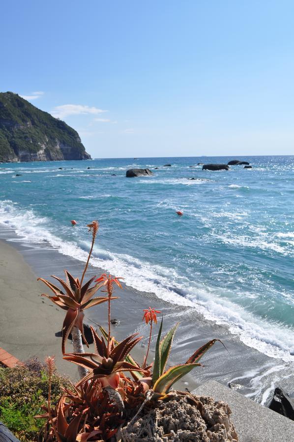 مبيت وإفطار Forio di Ischia La Citarea المظهر الخارجي الصورة