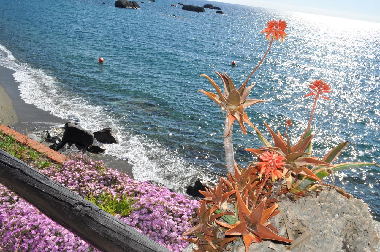 مبيت وإفطار Forio di Ischia La Citarea المظهر الخارجي الصورة